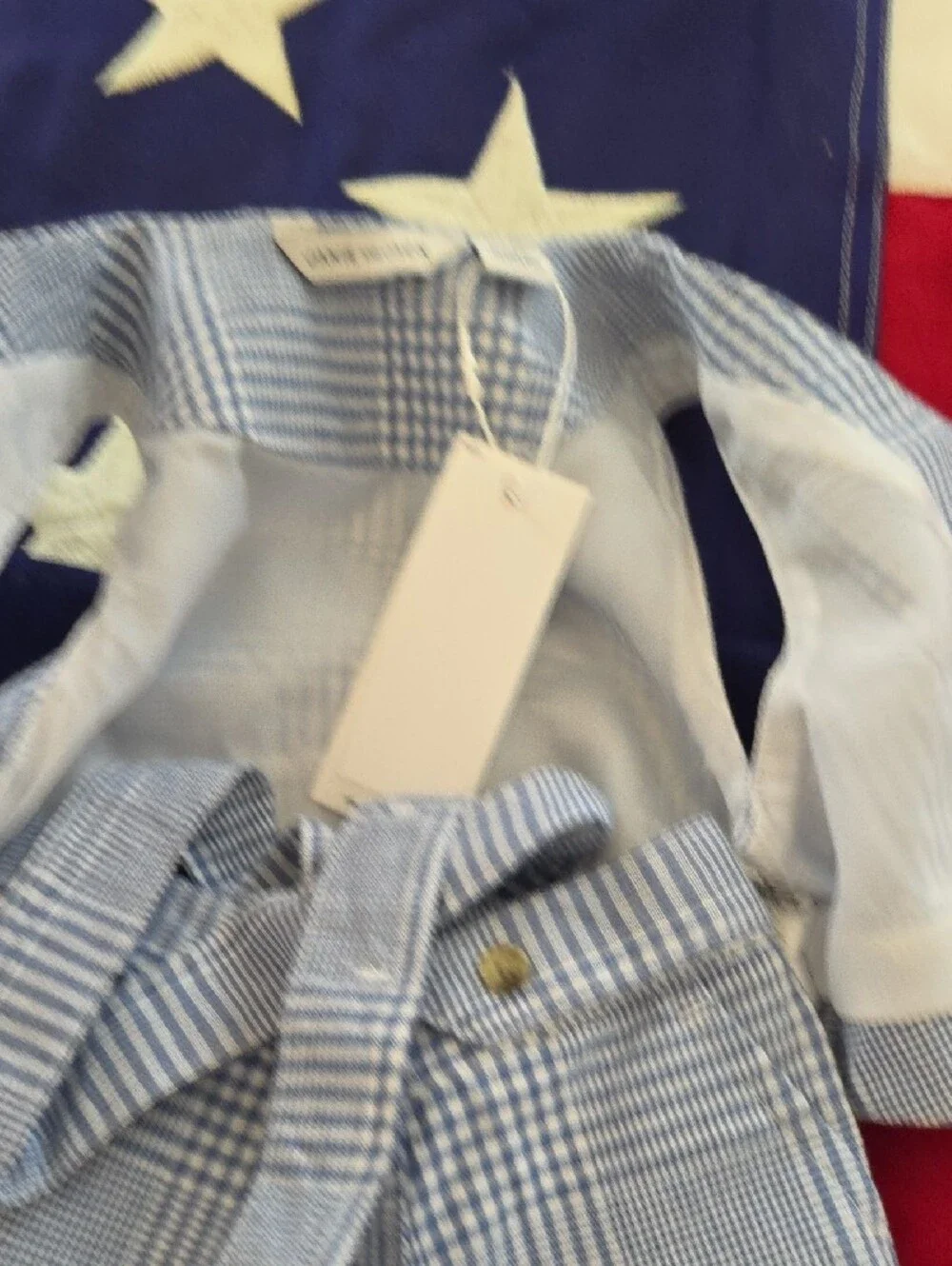 Janie and Jack Blue Gingham Vest & Shorts Set